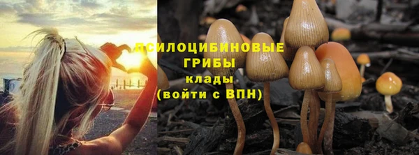 а пвп мука Вяземский