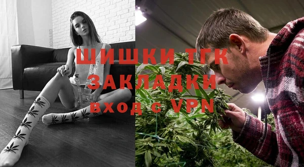 молекула духа Волосово