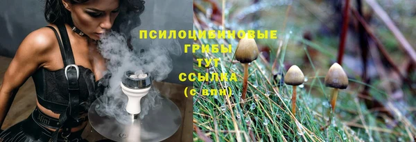 молекула духа Волосово