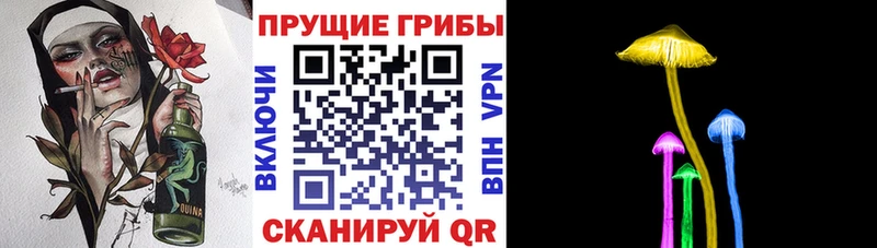 Галлюциногенные грибы Cubensis Инсар